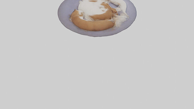 Pet Room Low-poly 3D model 5