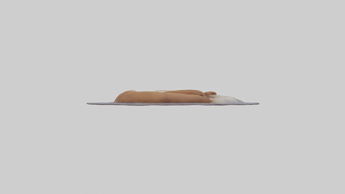 Pet Room Low-poly 3D model 3