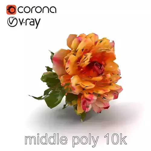 Ranunculus Flower Realistic Texture Model Pack