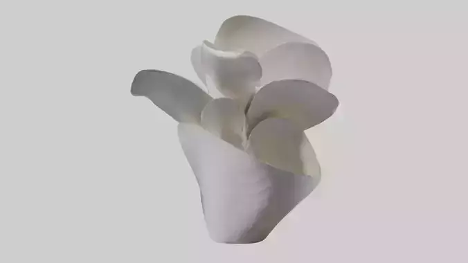 Petal Form Abstract statue model