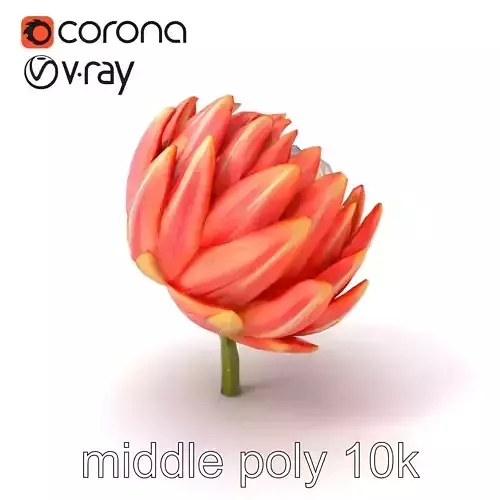Giant Protea Realistic 3D Model Pack Low-poly 3D model