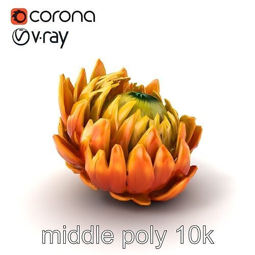 Sunny Yellow Protea Realistic Flower Model Pack Low-poly 3D model
