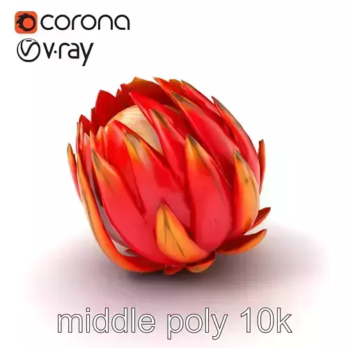 Dwarf Protea Flower Realistic Botanical model pack Low-poly 3D model
