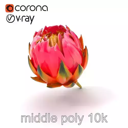 Vivid Protea Flower Model Pack Low-poly 3D model