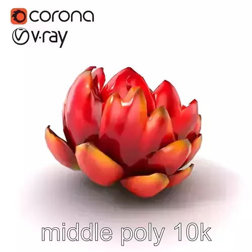 Purple Cornflower Flower Model Pack Low-poly 3D model
