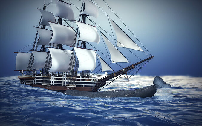 The Whale and The Ship  3D model