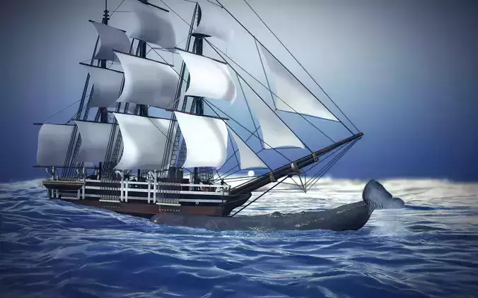 The Whale and The Ship 