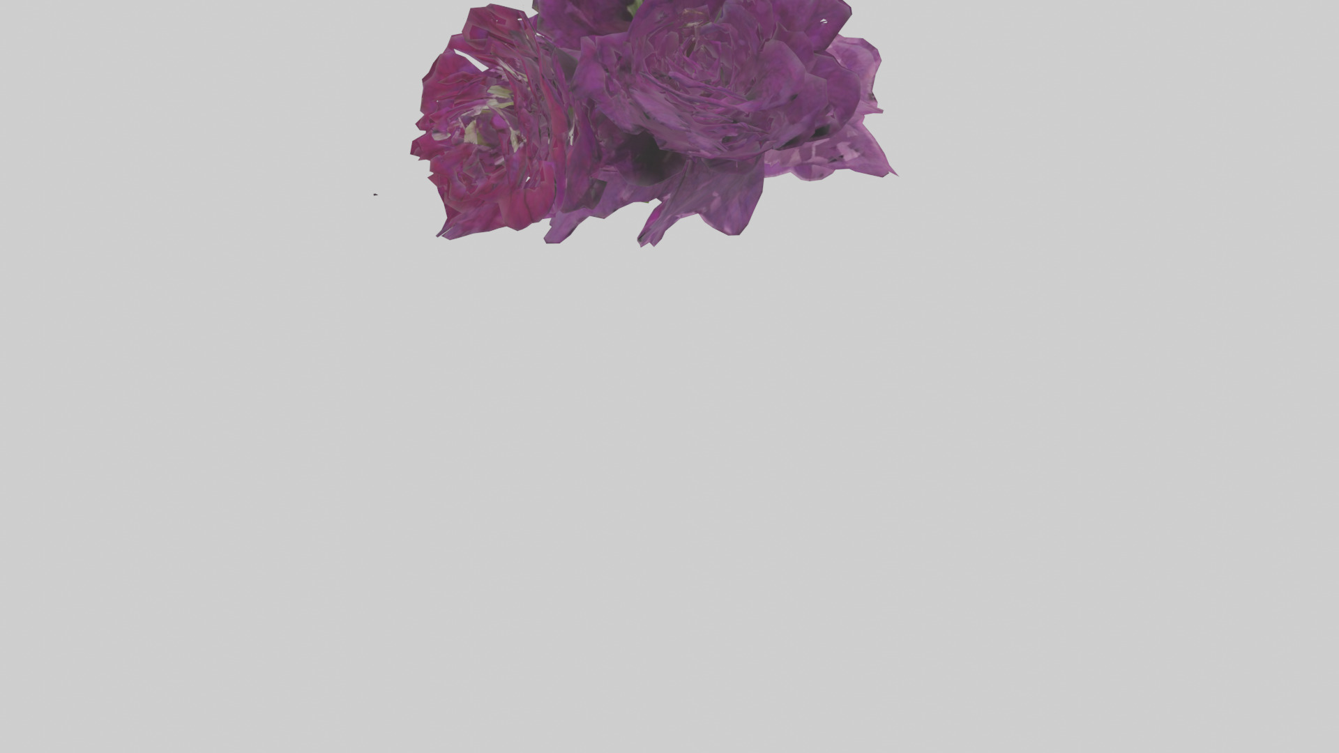 Petunia model Low-poly 3D model_5