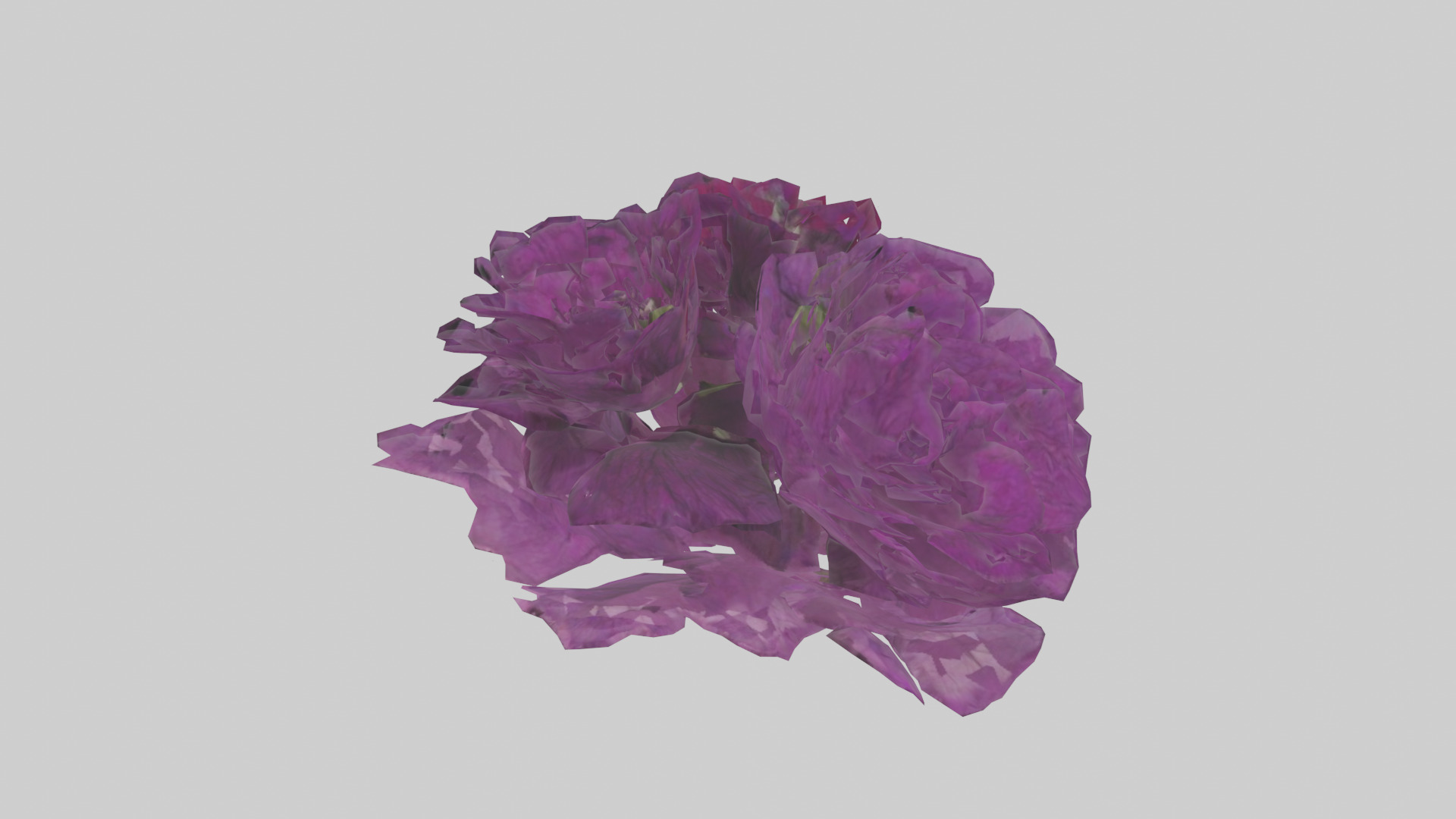 Petunia model Low-poly 3D model_15