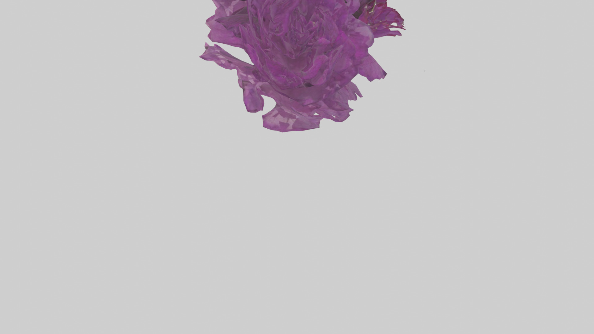 Petunia model Low-poly 3D model_4