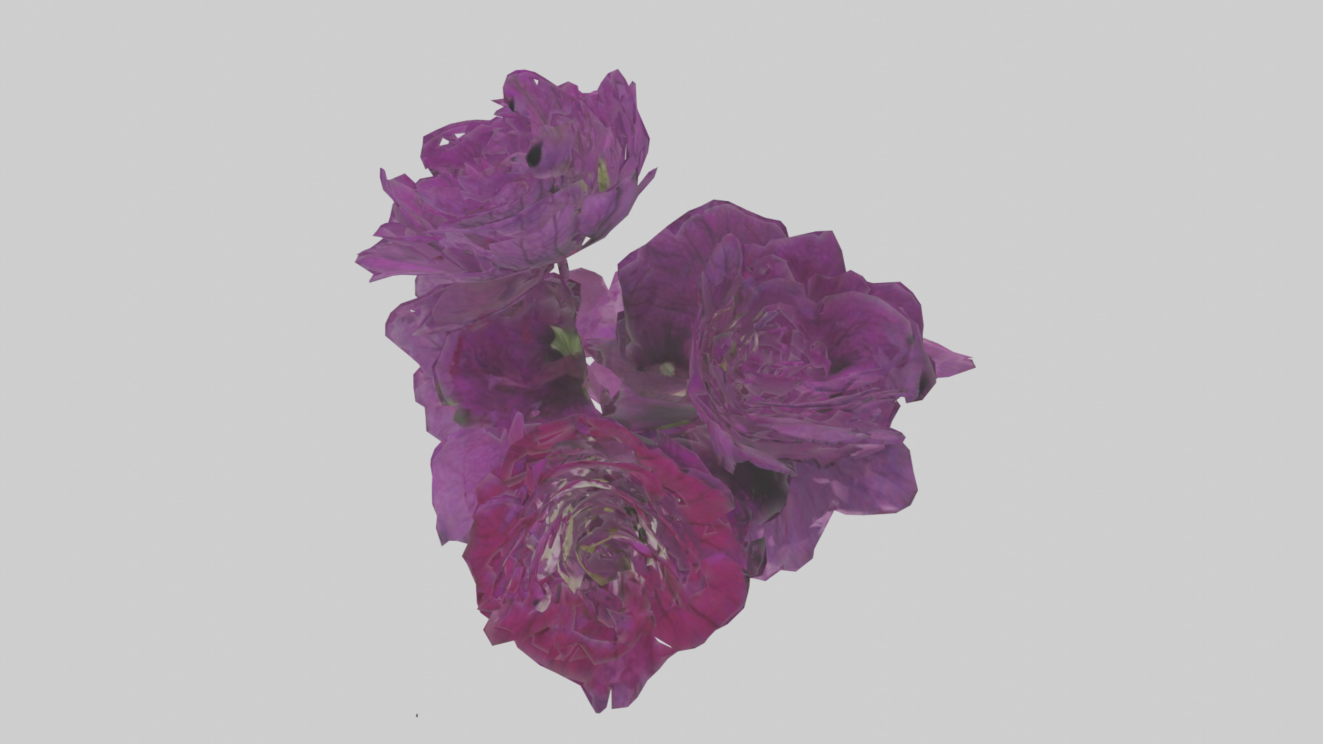 Petunia model Low-poly 3D model_16