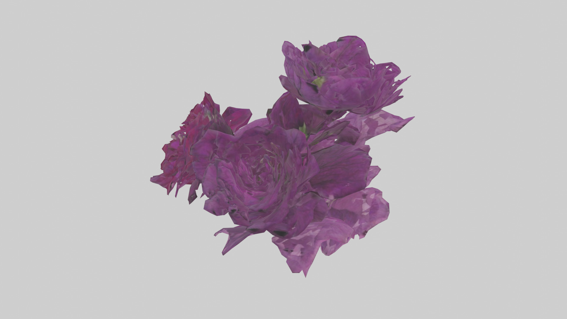 Petunia model Low-poly 3D model_17