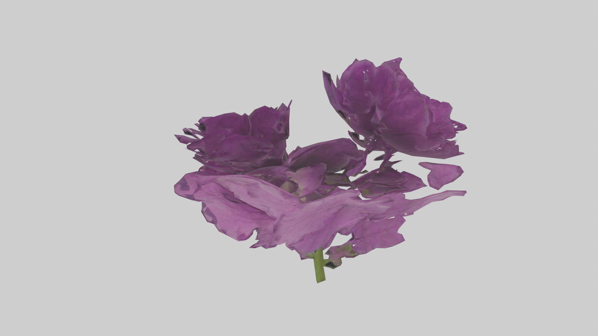 Petunia model Low-poly 3D model_1