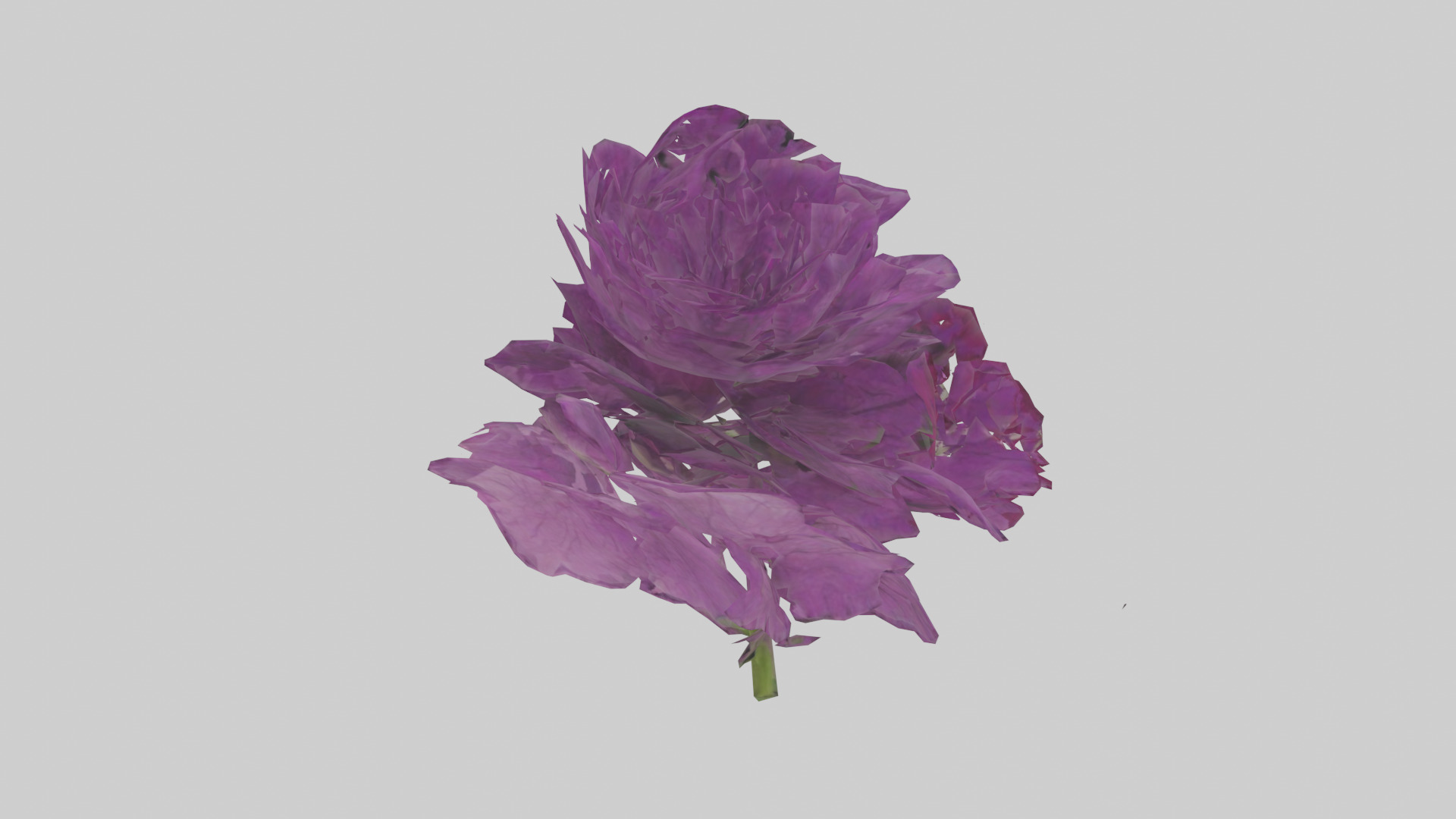 Petunia model Low-poly 3D model_2