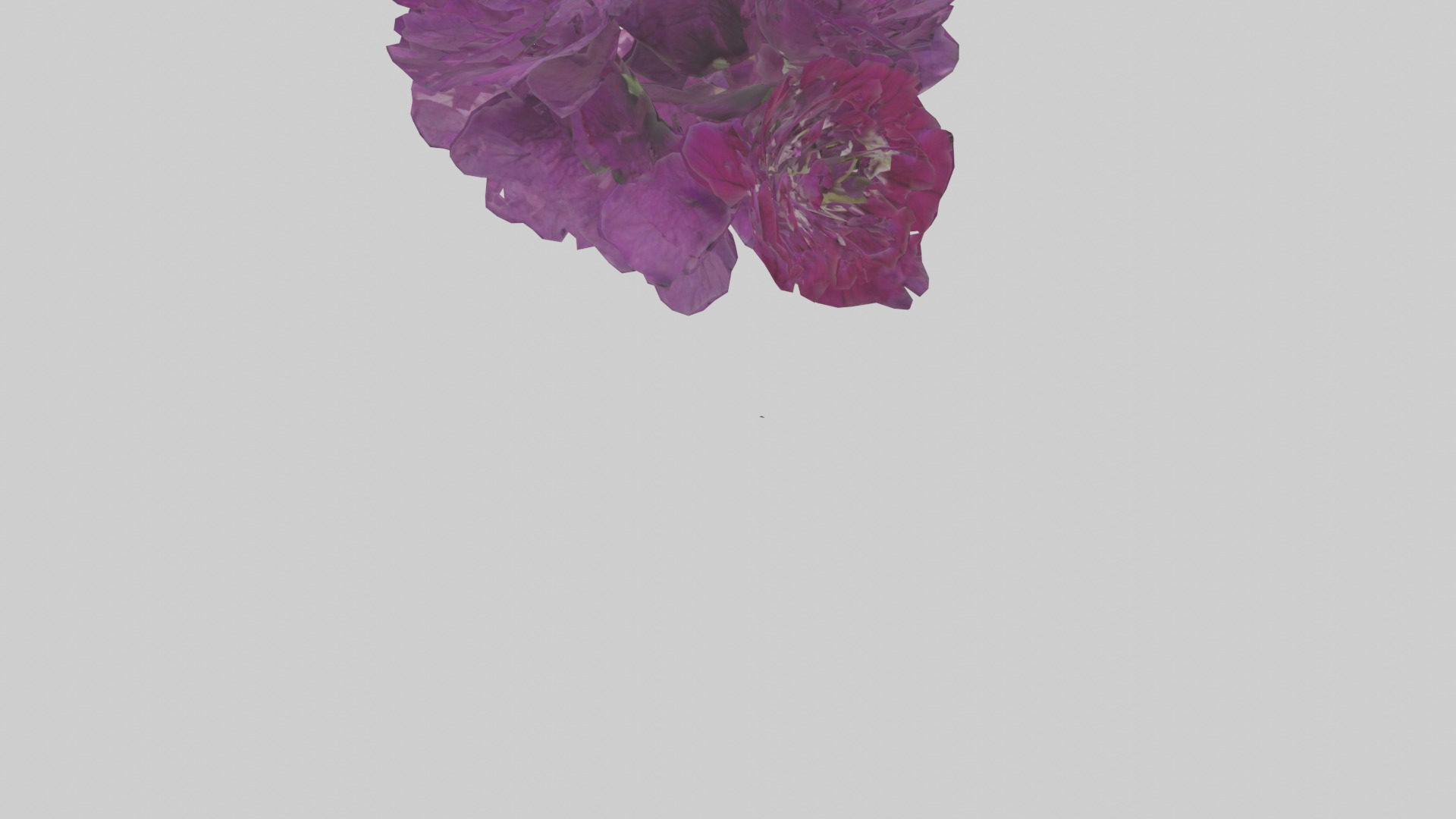 Petunia model Low-poly 3D model_6