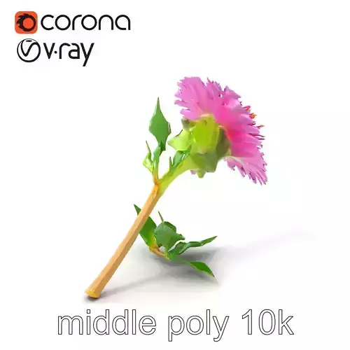 Dwarf Cornflower Realistic Texture Model Pack Low-poly 3D model