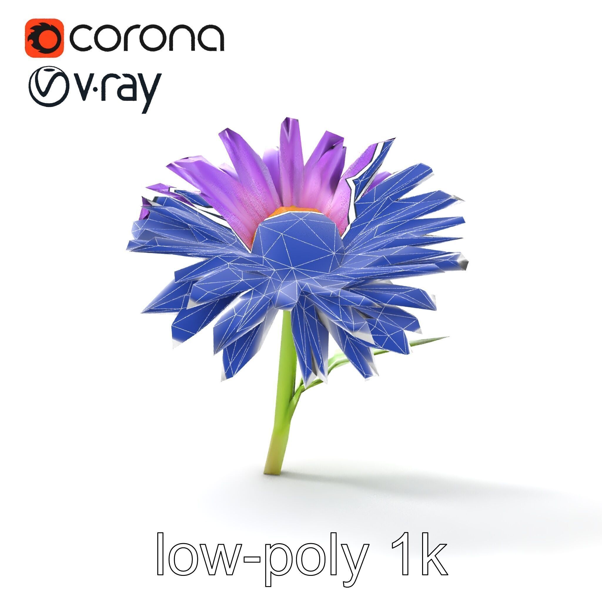 Leucanthemum Purple Flower Realistic model pack Low-poly 3D model_22