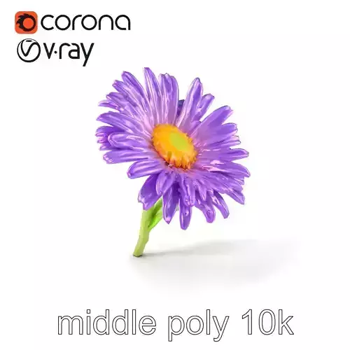 Leucanthemum Purple Flower Realistic model pack Low-poly 3D model