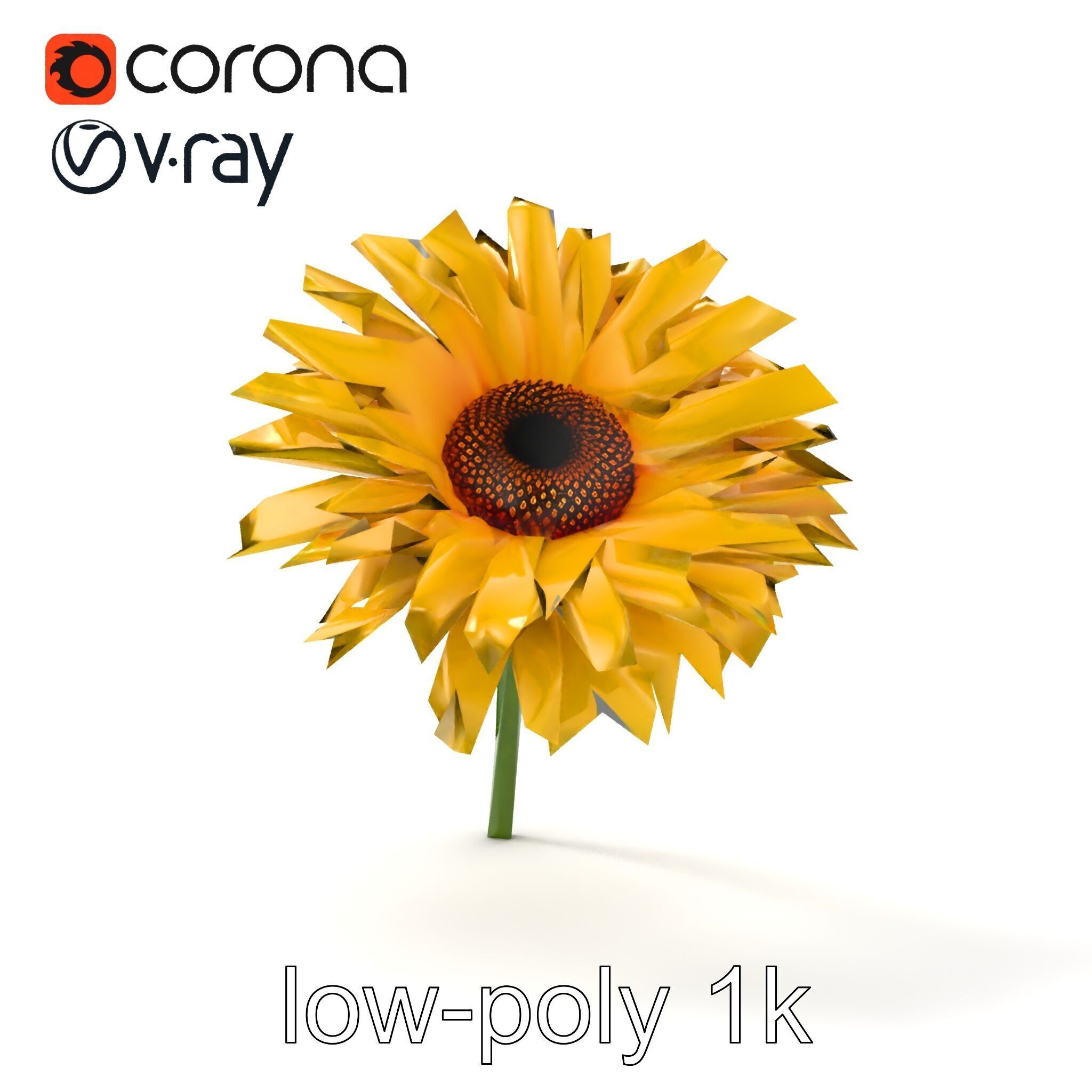 Leucanthemum Yellow Flower Model Pack Low-poly 3D model_22