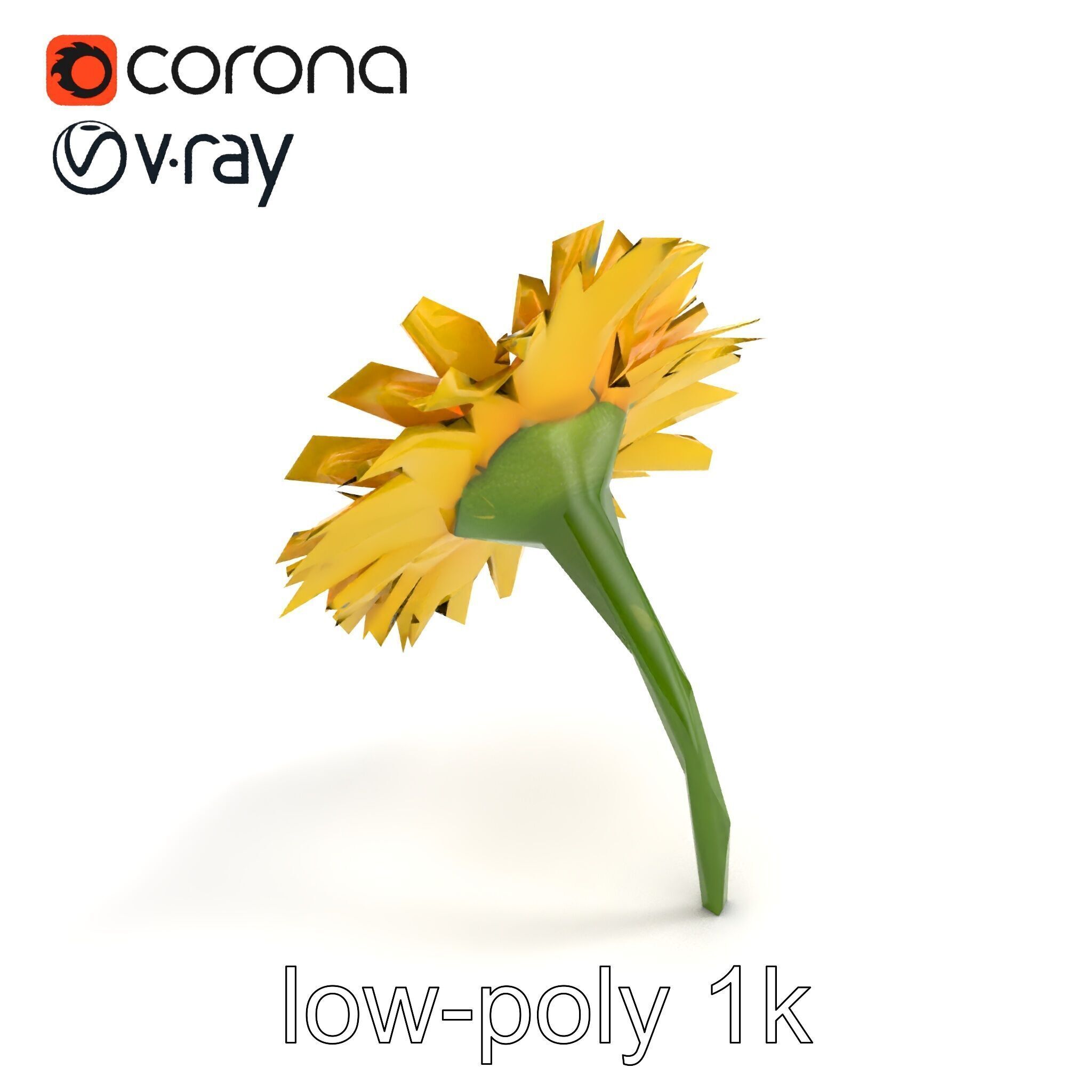 Leucanthemum Yellow Flower Model Pack Low-poly 3D model_9