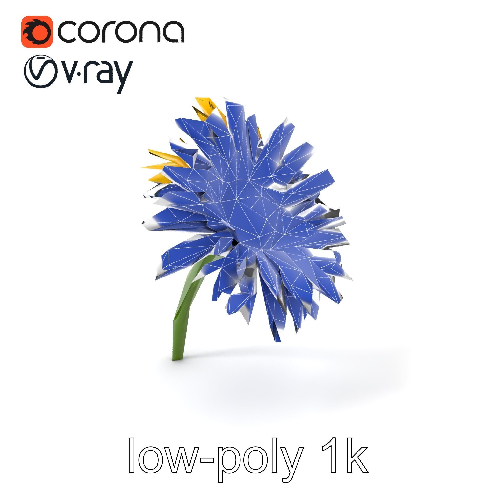 Leucanthemum Yellow Flower Model Pack Low-poly 3D model_7