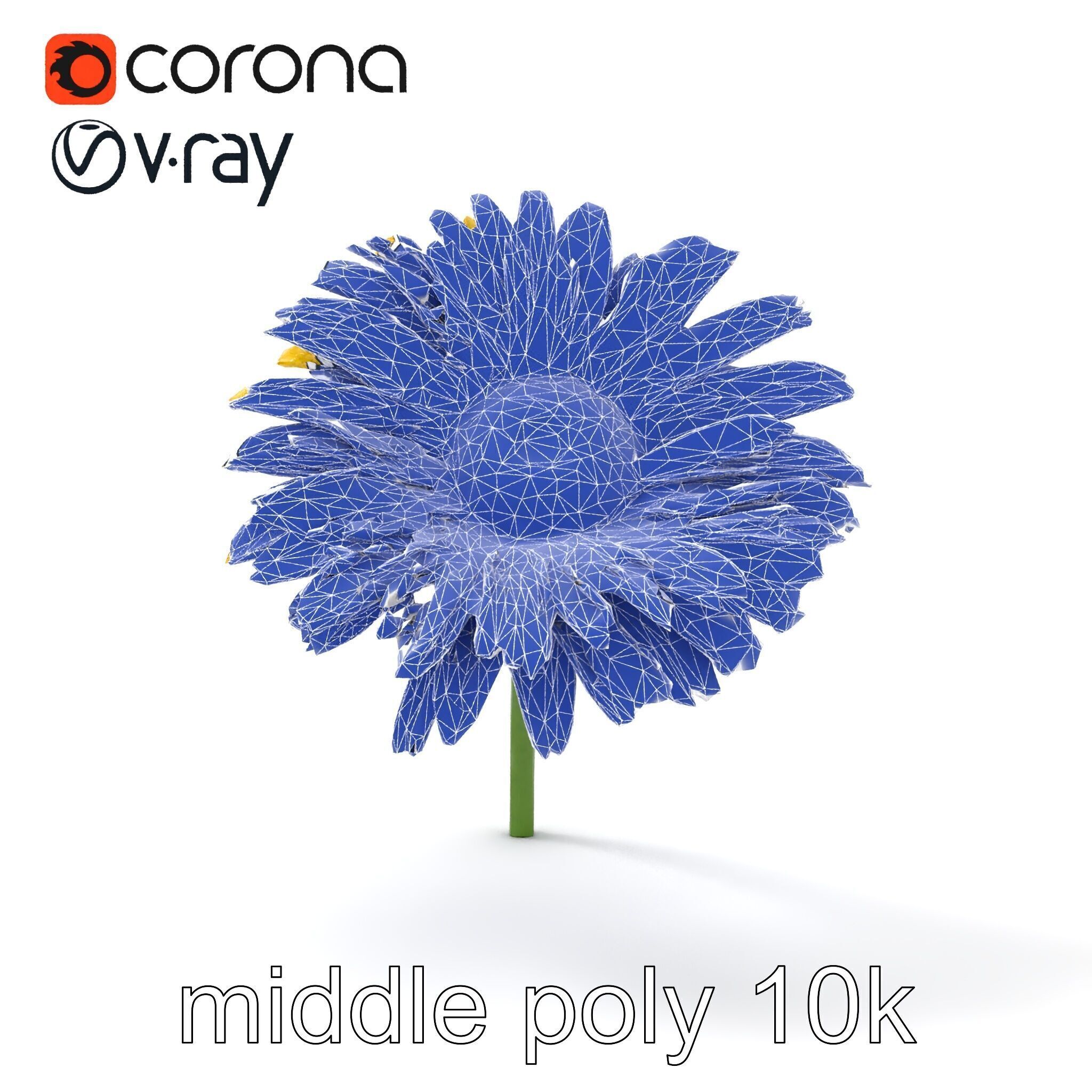 Leucanthemum Yellow Flower Model Pack Low-poly 3D model_23