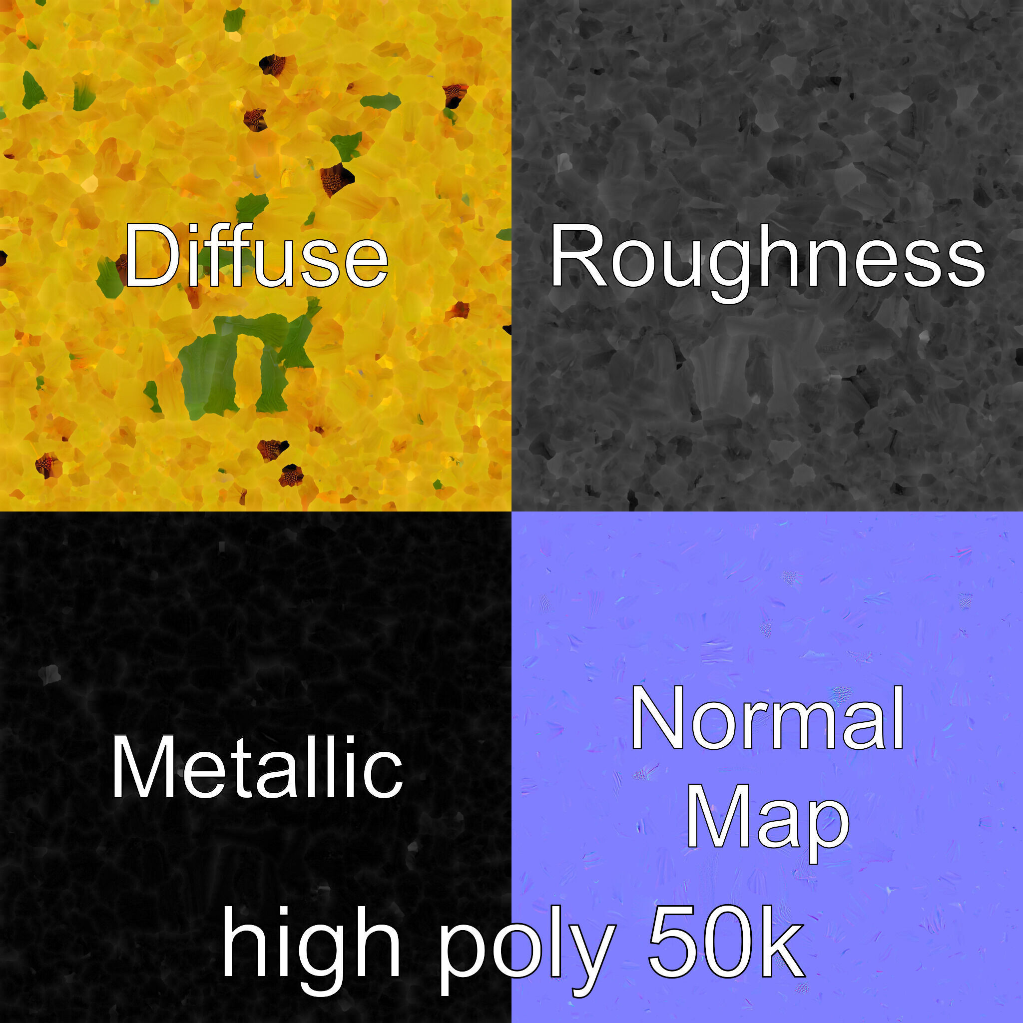 Leucanthemum Yellow Flower Model Pack Low-poly 3D model_3