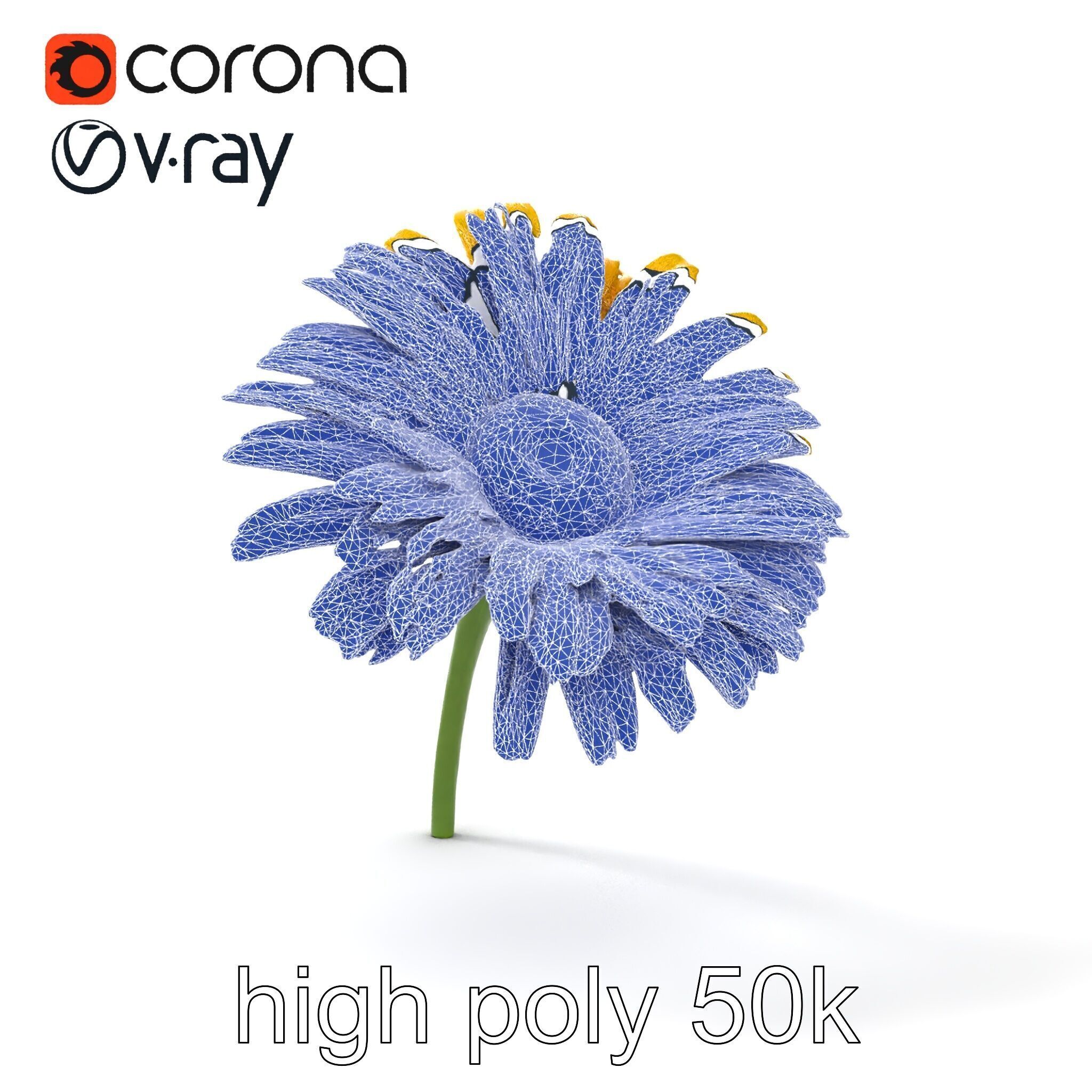 Leucanthemum Yellow Flower Model Pack Low-poly 3D model_31