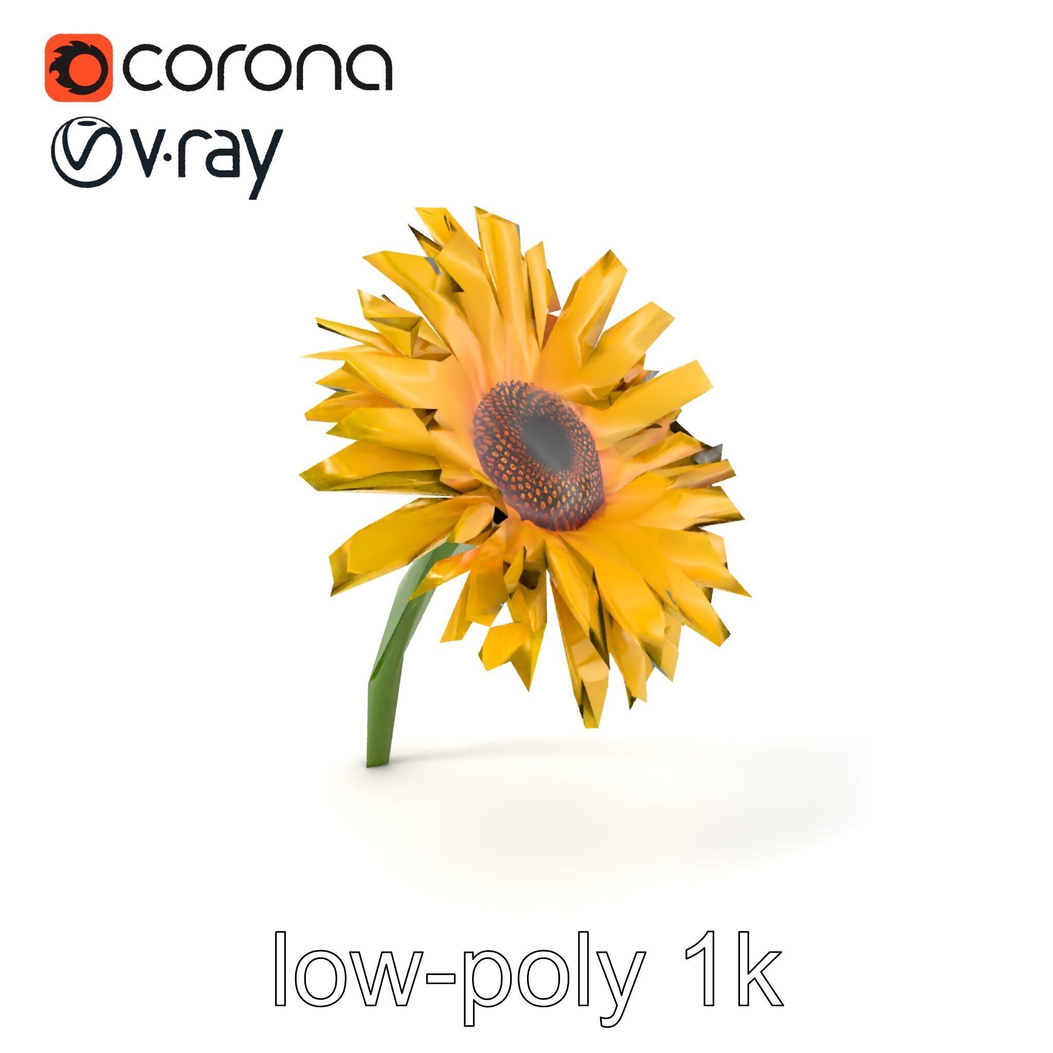 Leucanthemum Yellow Flower Model Pack Low-poly 3D model_5