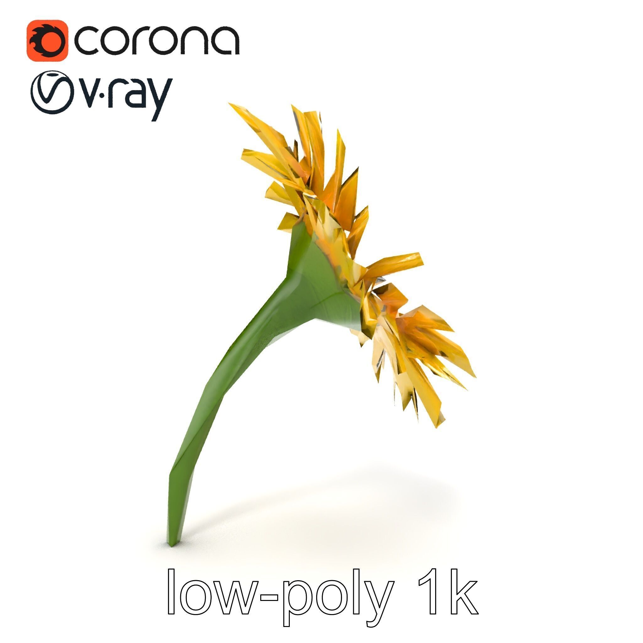 Leucanthemum Yellow Flower Model Pack Low-poly 3D model_32