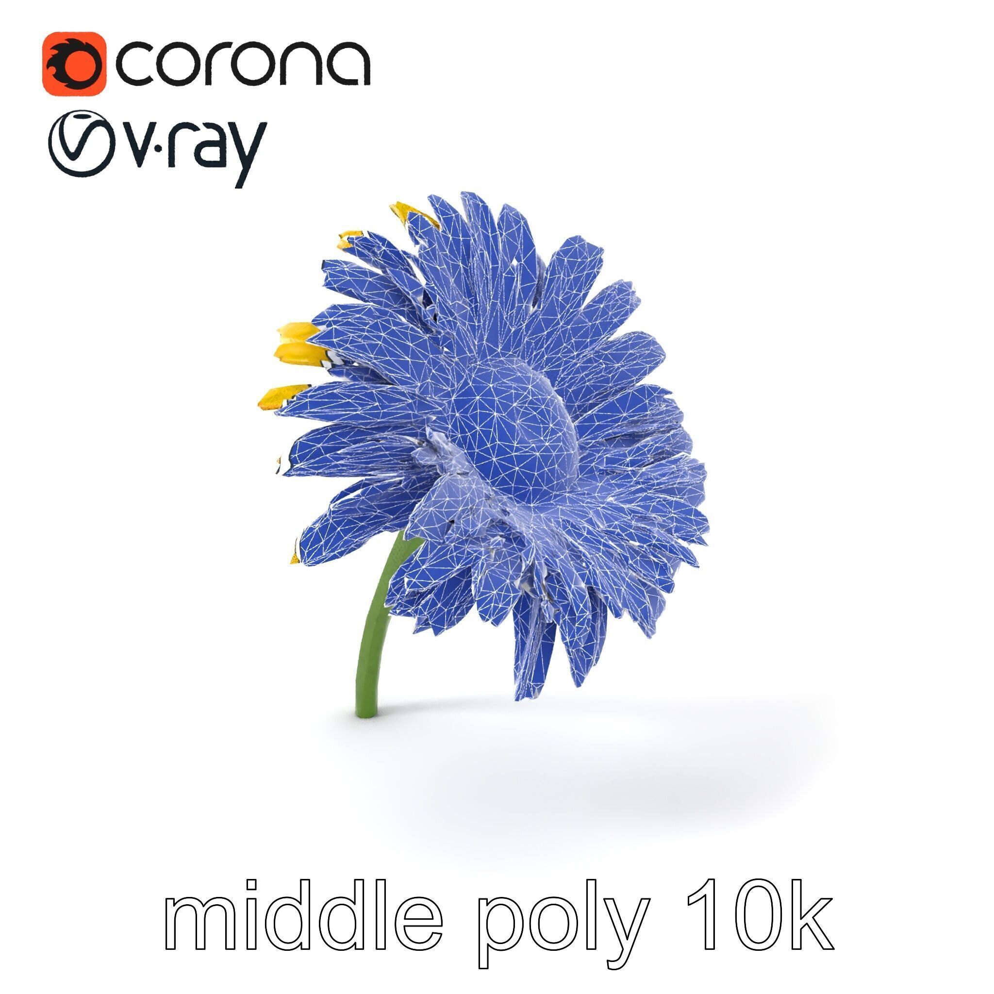 Leucanthemum Yellow Flower Model Pack Low-poly 3D model_6