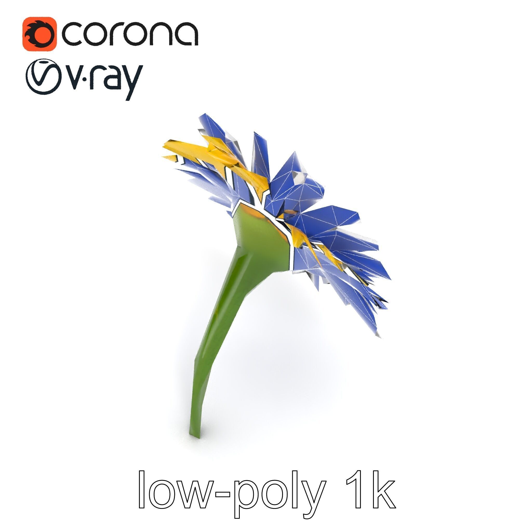 Leucanthemum Yellow Flower Model Pack Low-poly 3D model_14