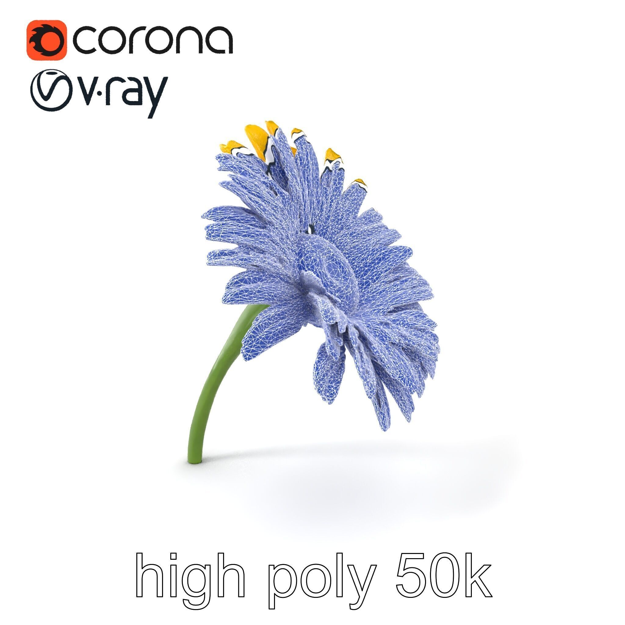 Leucanthemum Yellow Flower Model Pack Low-poly 3D model_10