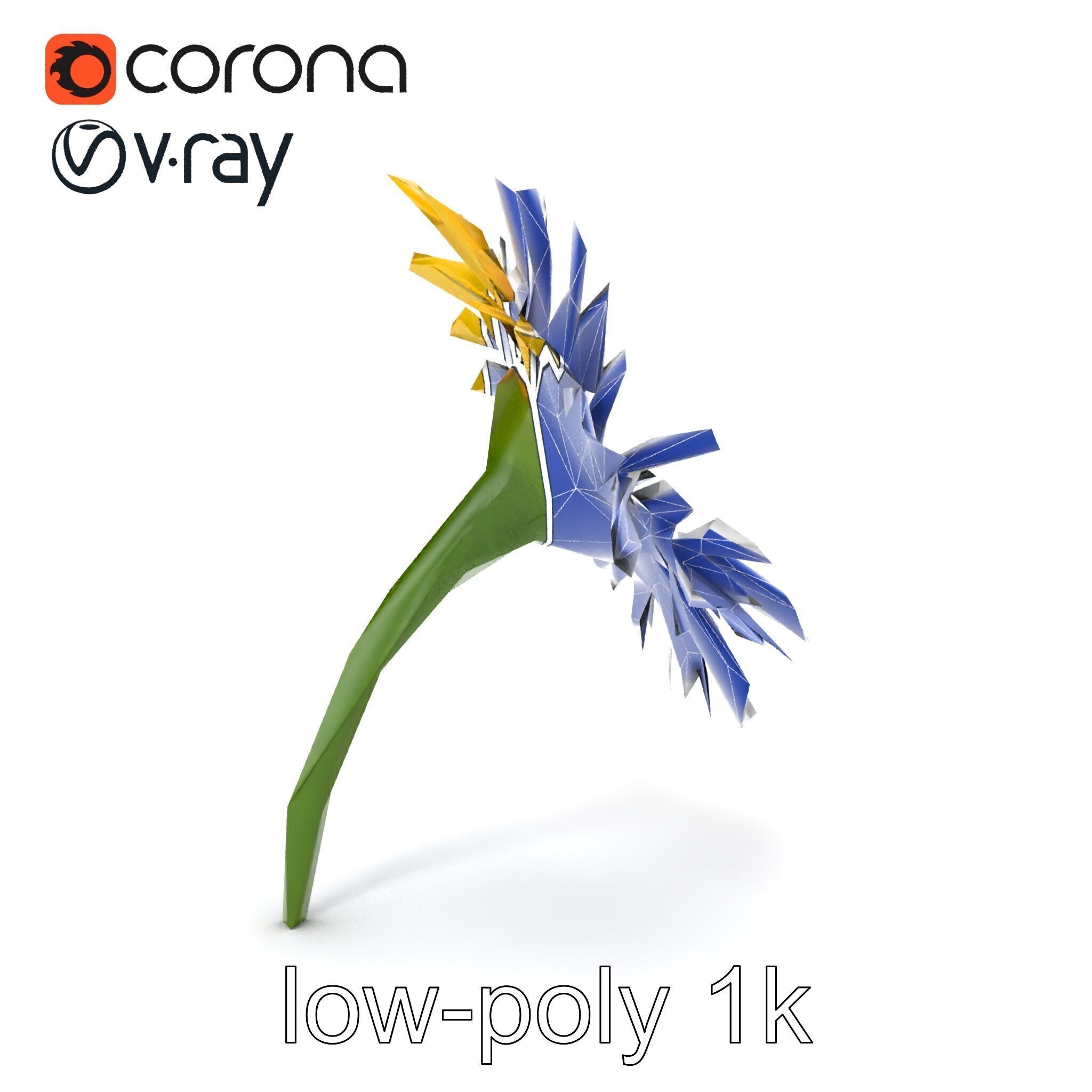 Leucanthemum Yellow Flower Model Pack Low-poly 3D model_18