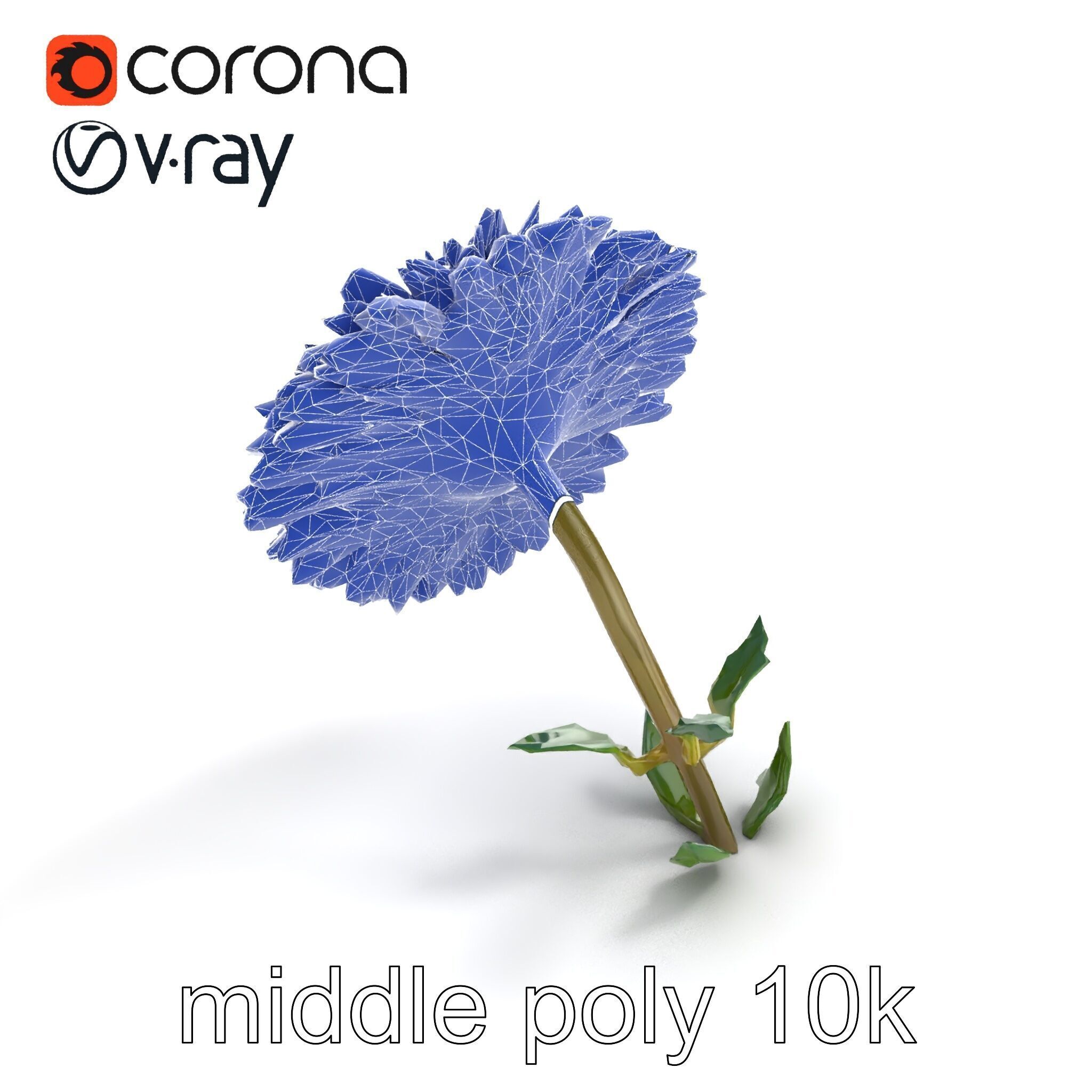Leucanthemum Double Petals Flower Model Pack Low-poly 3D model_31