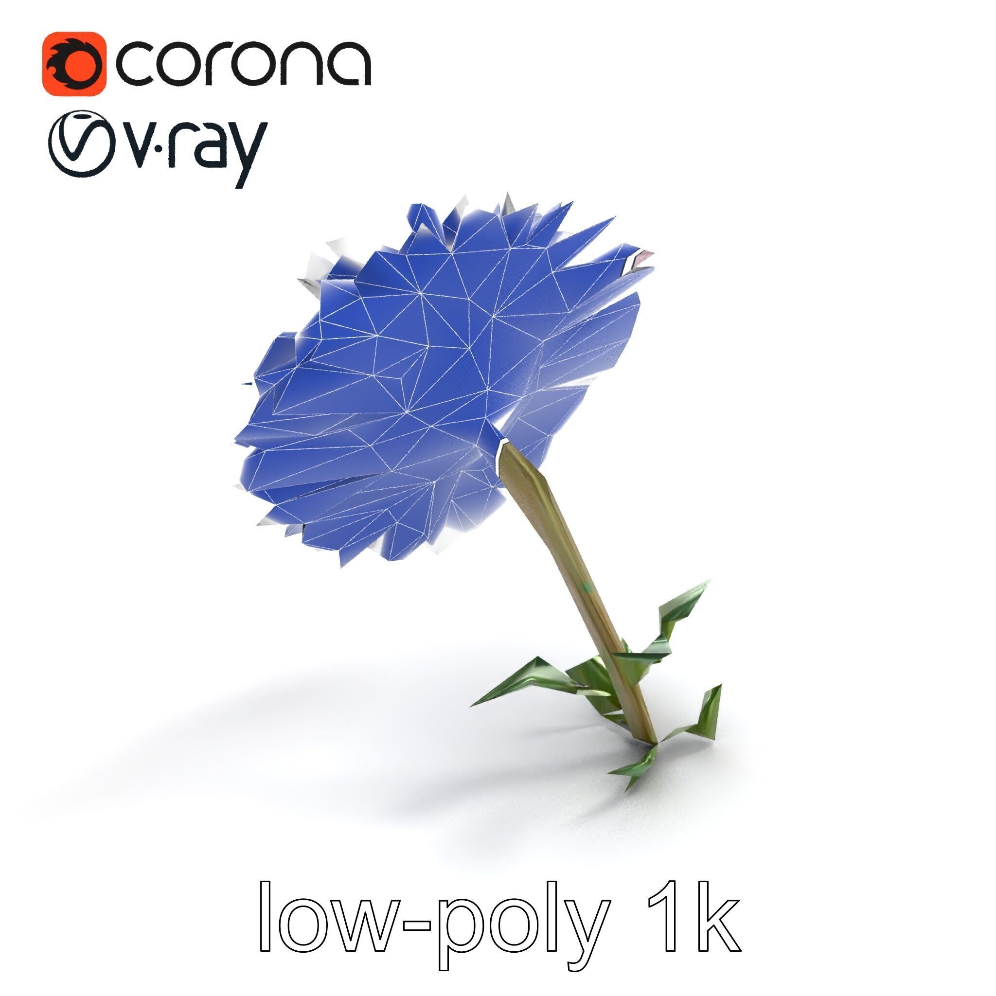 Leucanthemum Double Petals Flower Model Pack Low-poly 3D model_14