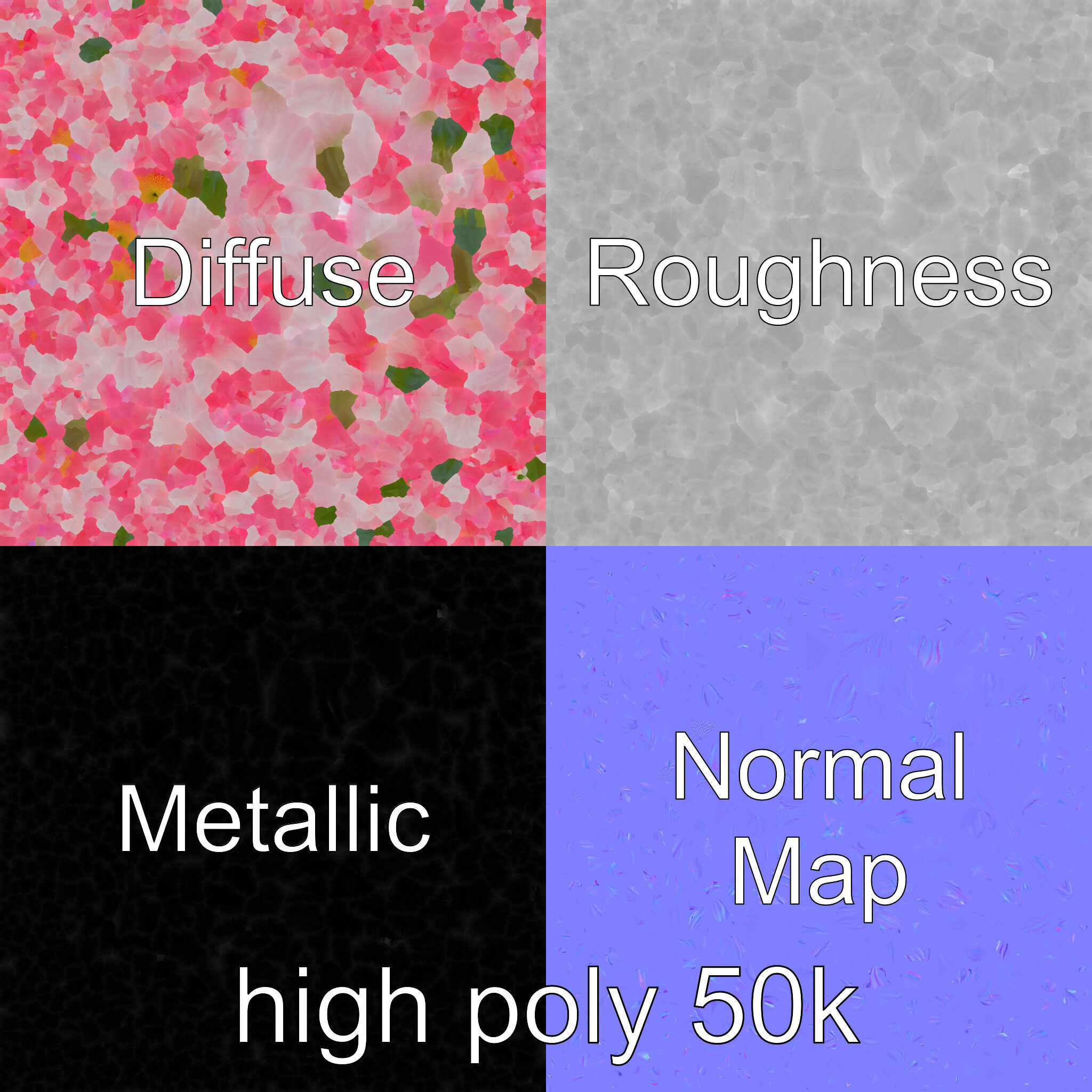 Leucanthemum Double Petals Flower Model Pack Low-poly 3D model_3