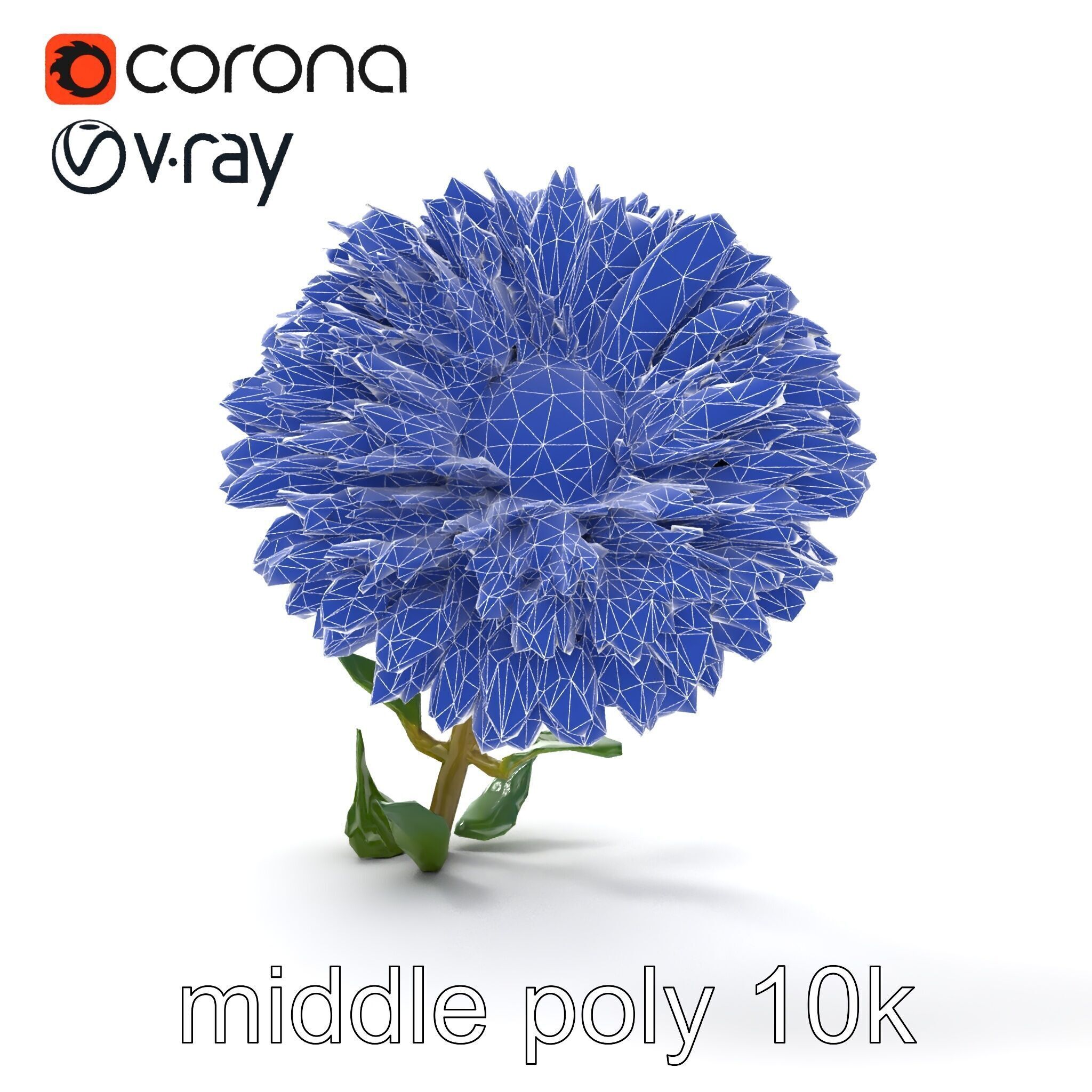 Leucanthemum Double Petals Flower Model Pack Low-poly 3D model_18
