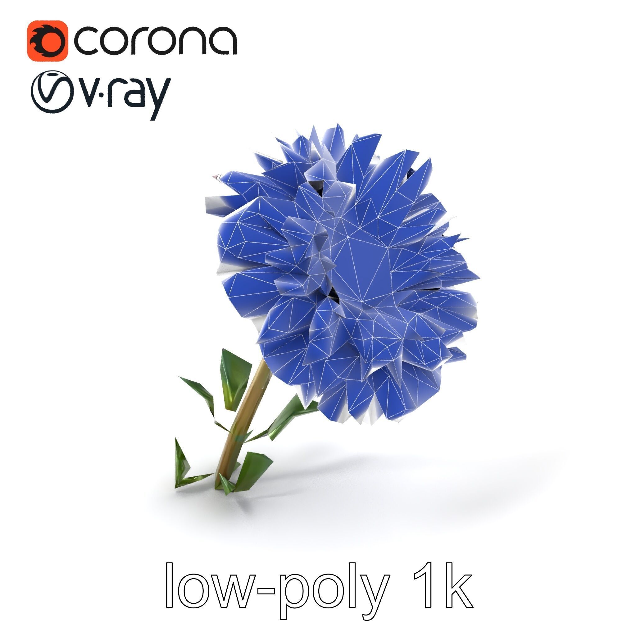 Leucanthemum Double Petals Flower Model Pack Low-poly 3D model_7