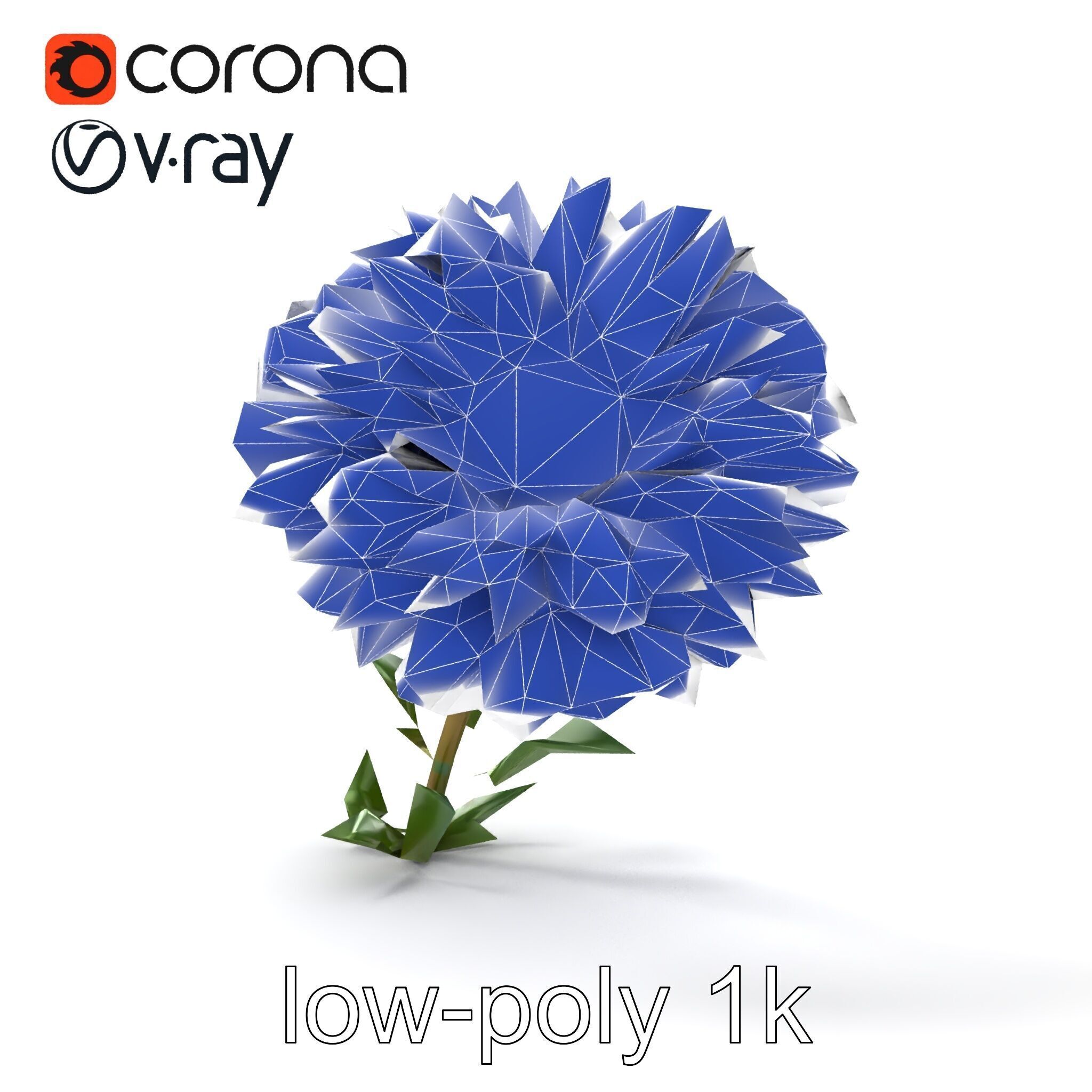 Leucanthemum Double Petals Flower Model Pack Low-poly 3D model_24