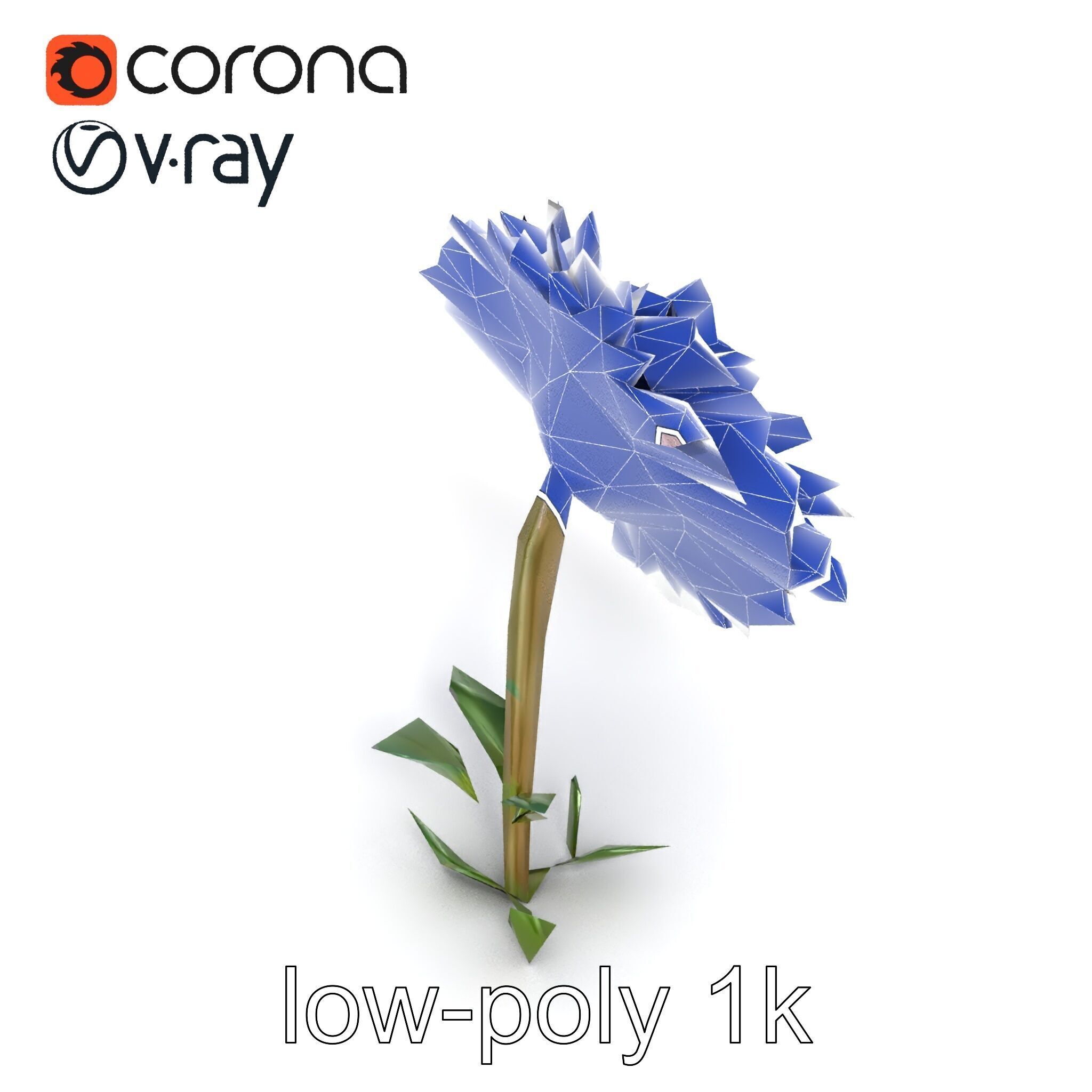 Leucanthemum Double Petals Flower Model Pack Low-poly 3D model_28
