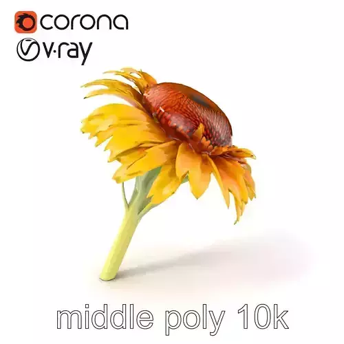 Yellow Cornflower Realistic Model Pack Low-poly 3D model