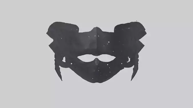 Phantom Mask model
