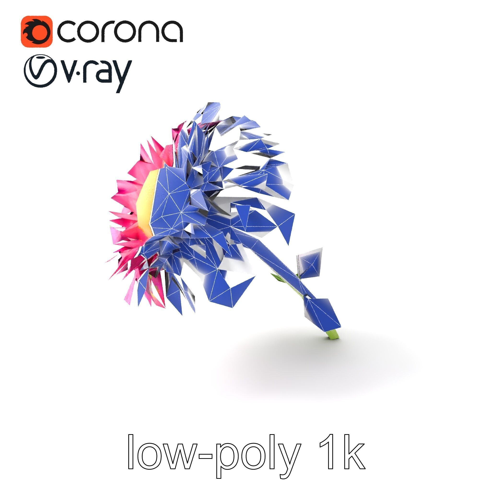 Leucanthemum Minor Flower Detailed Bloom model pack Low-poly 3D model_6