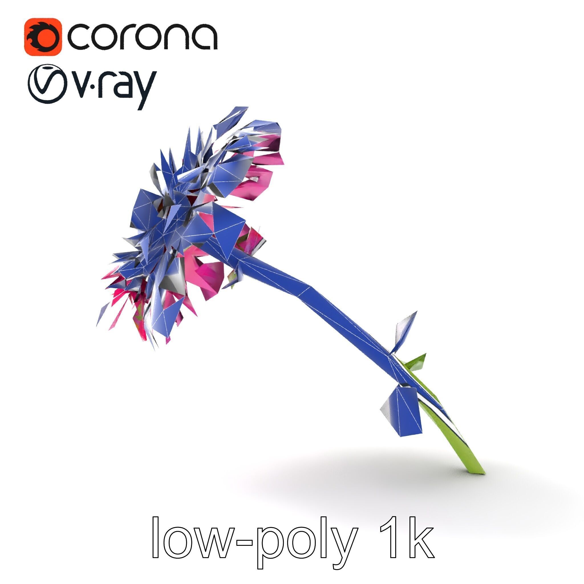 Leucanthemum Minor Flower Detailed Bloom model pack Low-poly 3D model_22