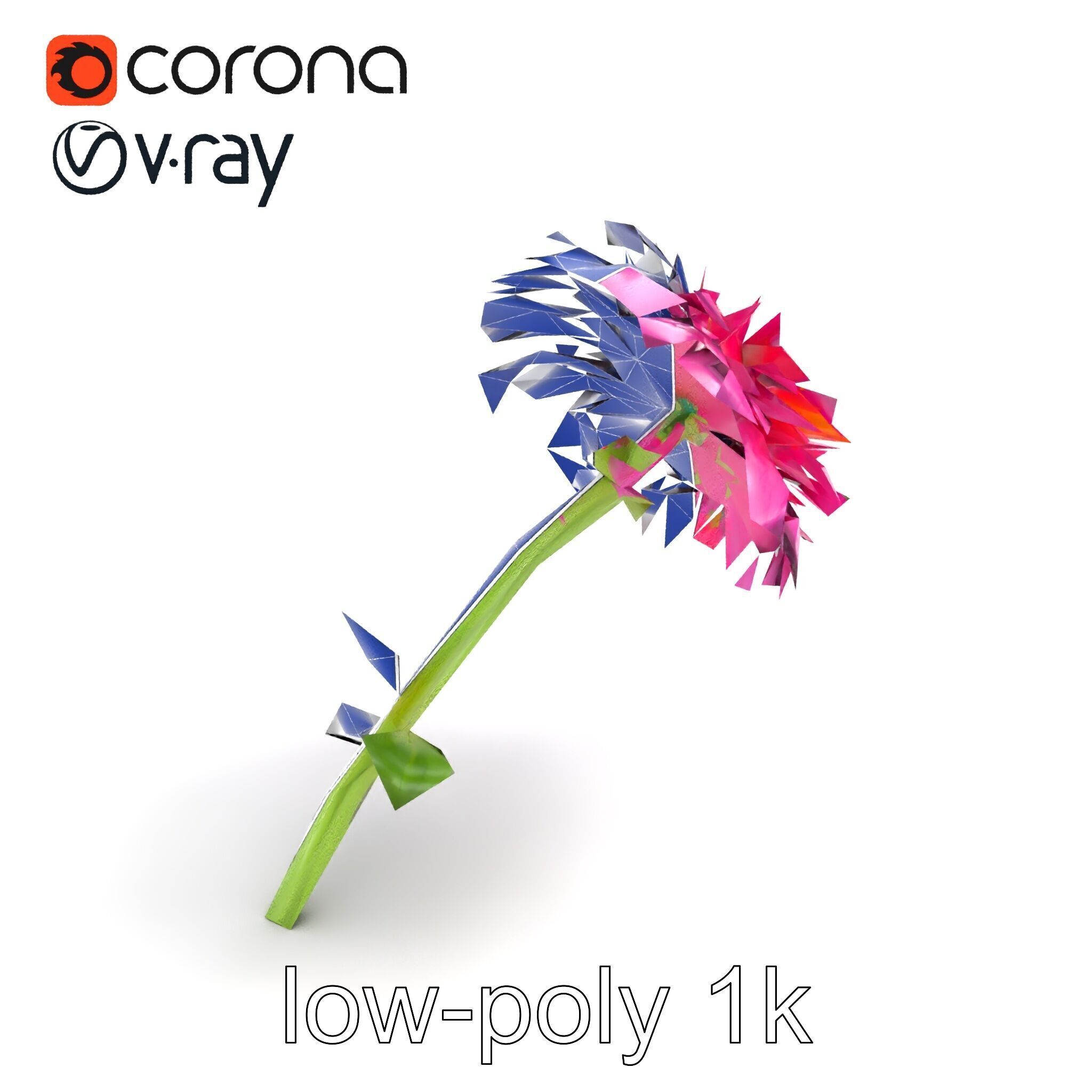 Leucanthemum Minor Flower Detailed Bloom model pack Low-poly 3D model_13