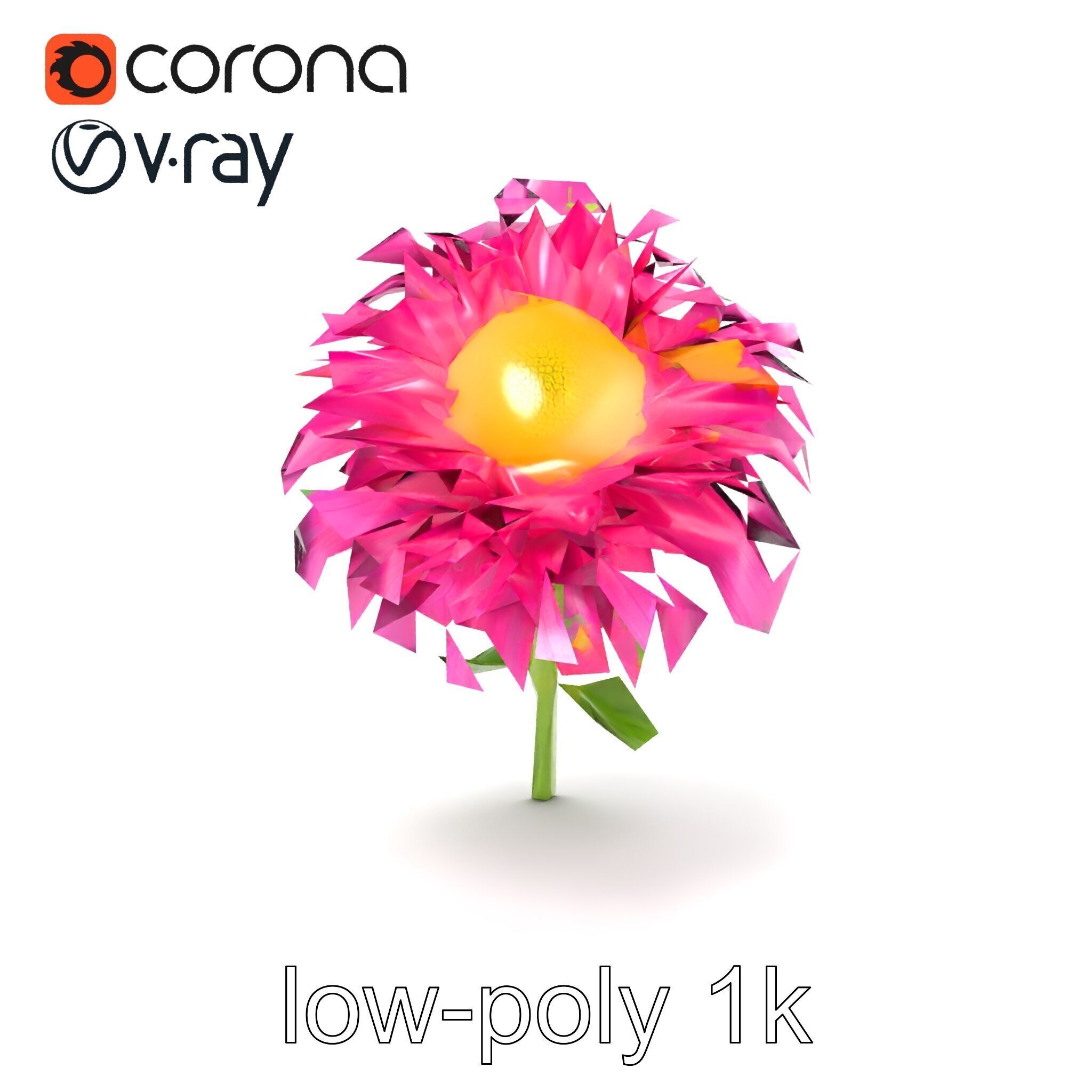 Leucanthemum Minor Flower Detailed Bloom model pack Low-poly 3D model_18
