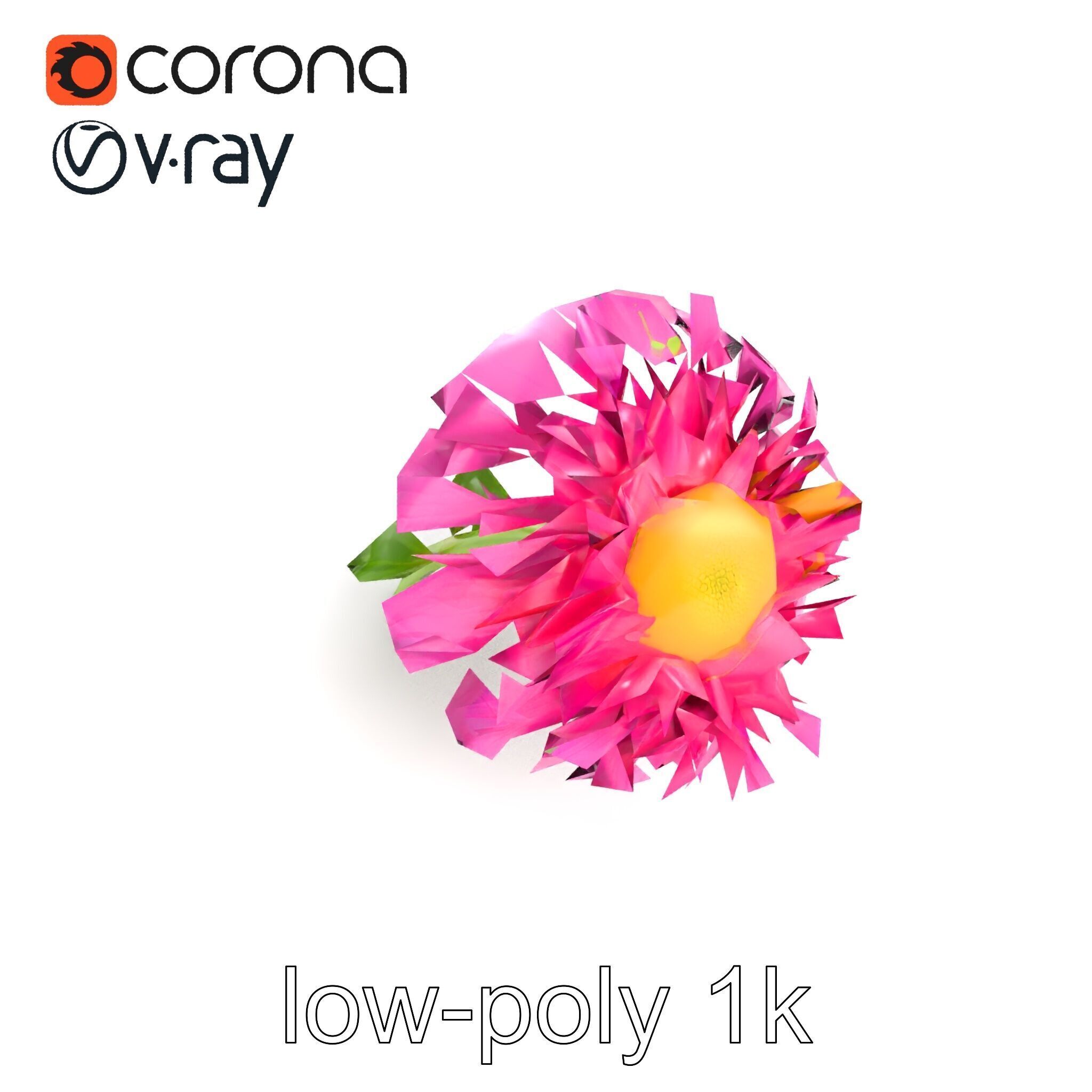 Leucanthemum Minor Flower Detailed Bloom model pack Low-poly 3D model_15