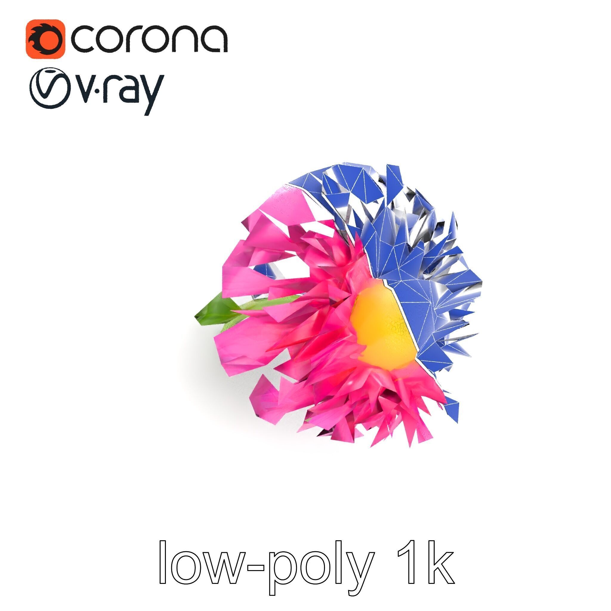 Leucanthemum Minor Flower Detailed Bloom model pack Low-poly 3D model_20