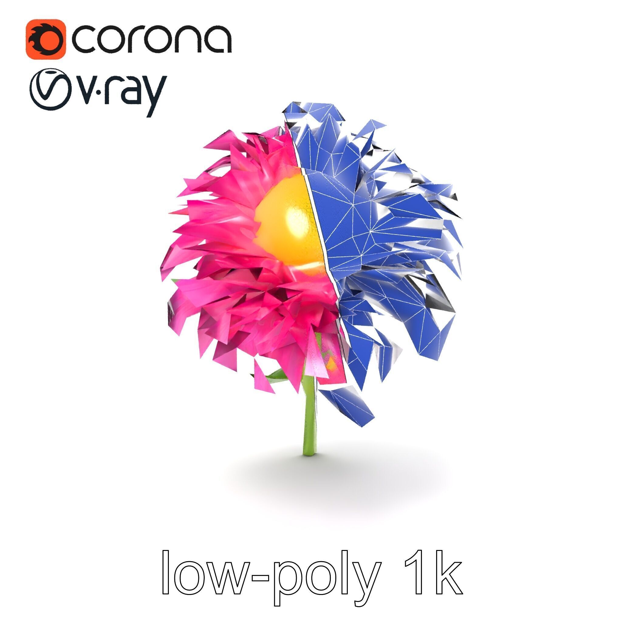 Leucanthemum Minor Flower Detailed Bloom model pack Low-poly 3D model_16